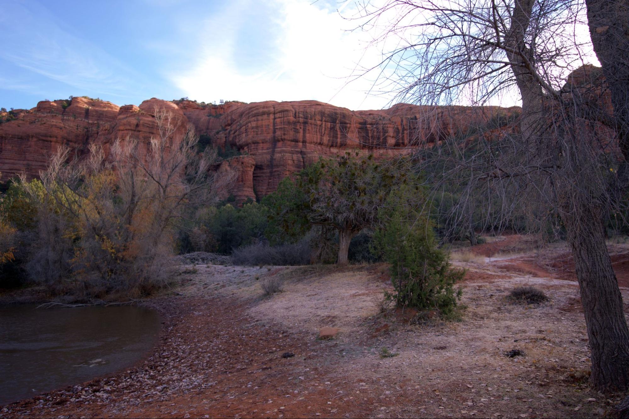 Creek bank and red rock cliffs near Rimrock, AZ, where high groundwater often requires alternative septic installation.